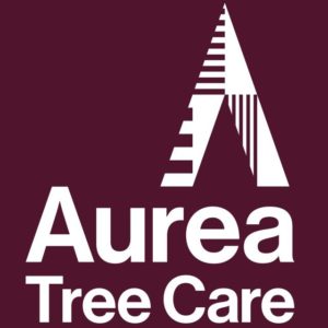 Aurea Tree Care Services Glasgow